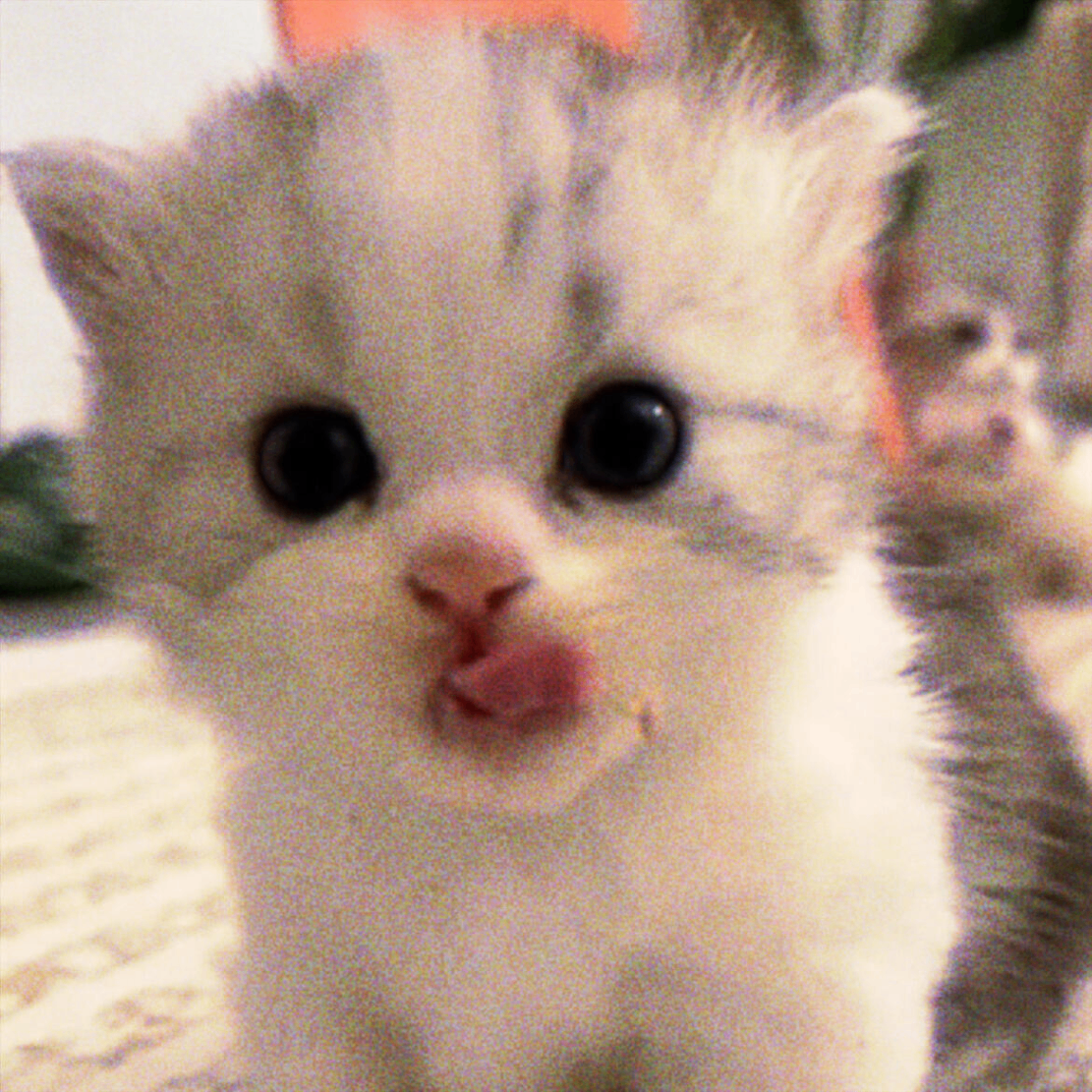 William (wninie.lens) Lens social identity (.lens handle) PFP