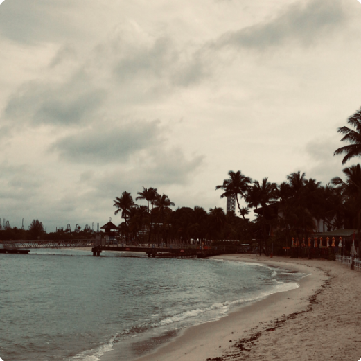 Phan (jingpan.lens) Lens social identity (.lens handle) PFP