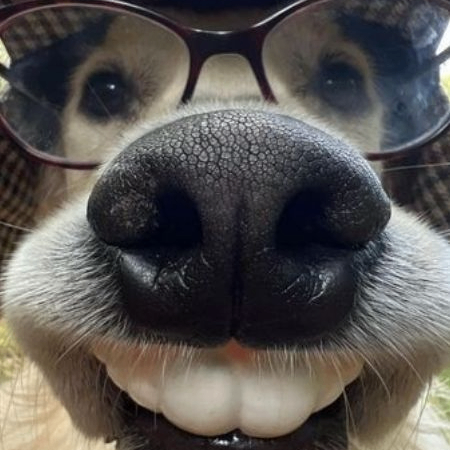 Ngaiap (ngaiap1202.lens) Lens social identity (.lens handle) PFP