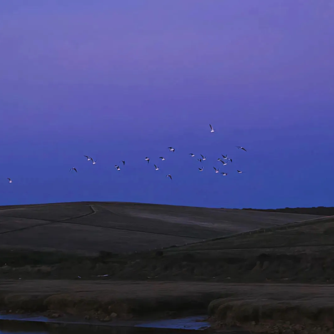 Михаил (dylana.lens) Lens social identity (.lens handle) PFP