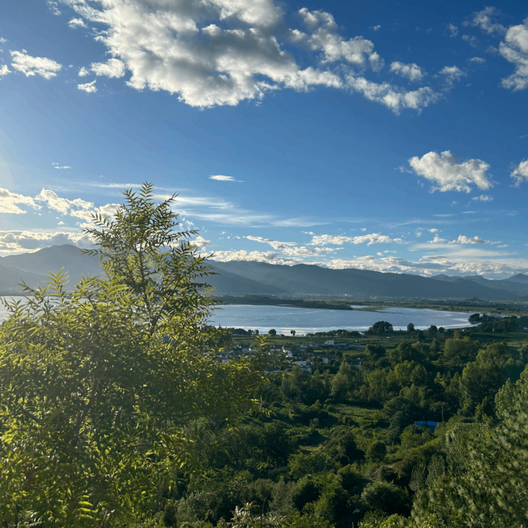 e24 (eth024.lens) Lens social identity (.lens handle) PFP