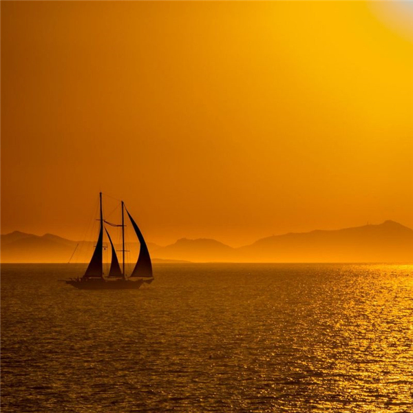 FANWANG (xdgfbv.lens) Lens social identity (.lens handle) PFP