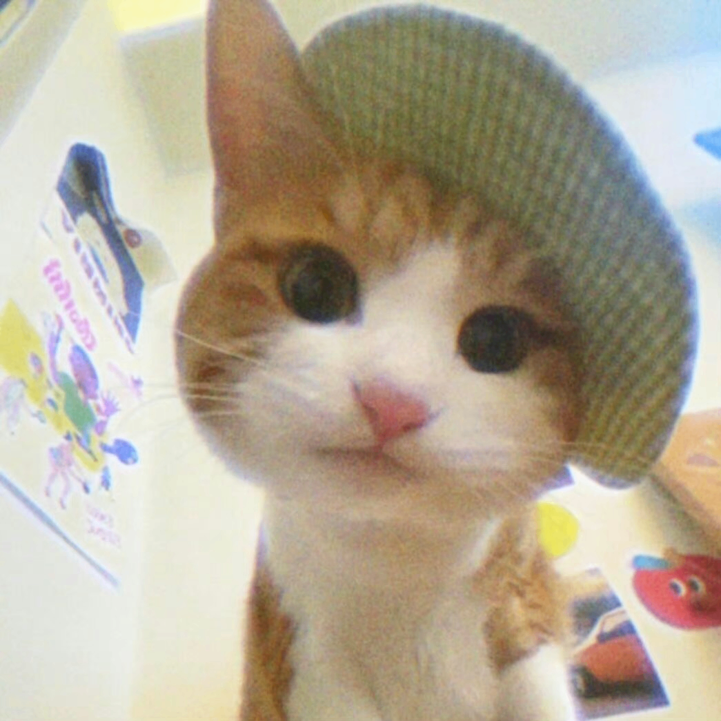 Isabella (honery.lens) Lens social identity (.lens handle) PFP