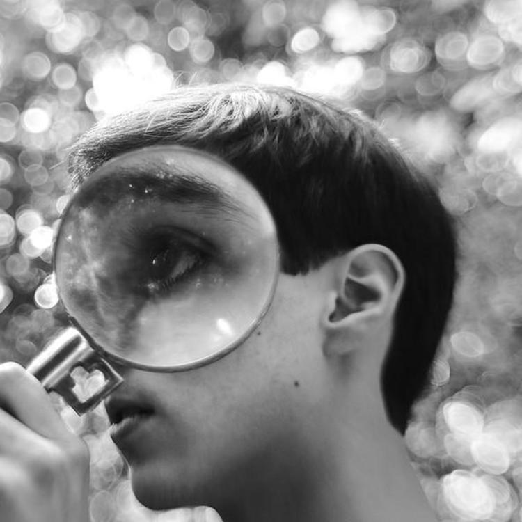 ChaosChronicler (loganbrooks.lens) Lens social identity (.lens handle) PFP