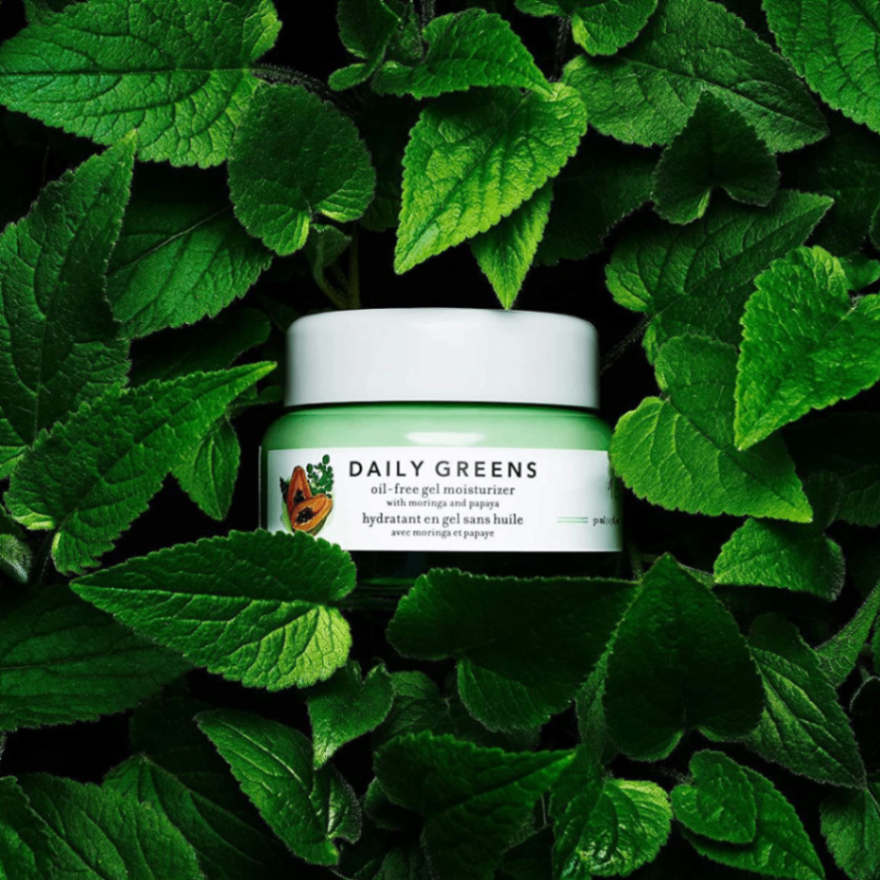 qin (cbdusa.lens) Lens social identity (.lens handle) PFP