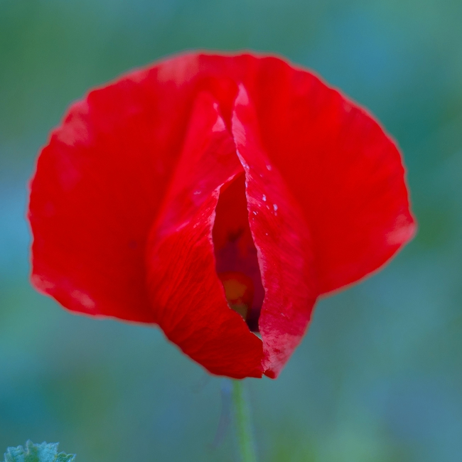 bsbejdjd (bsbejdjd.lens) Lens social identity (.lens handle) PFP