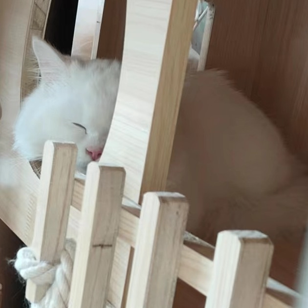 refreshing (heyorb.lens) Lens social identity (.lens handle) PFP