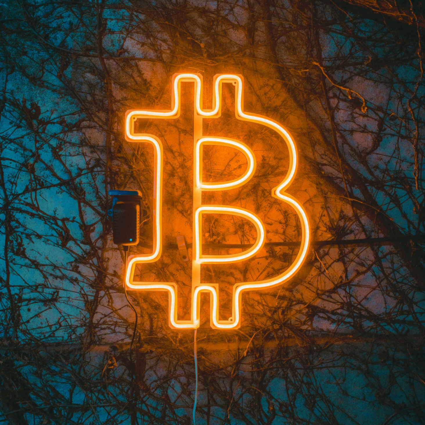 larry (larrytdm.lens) Lens social identity (.lens handle) PFP