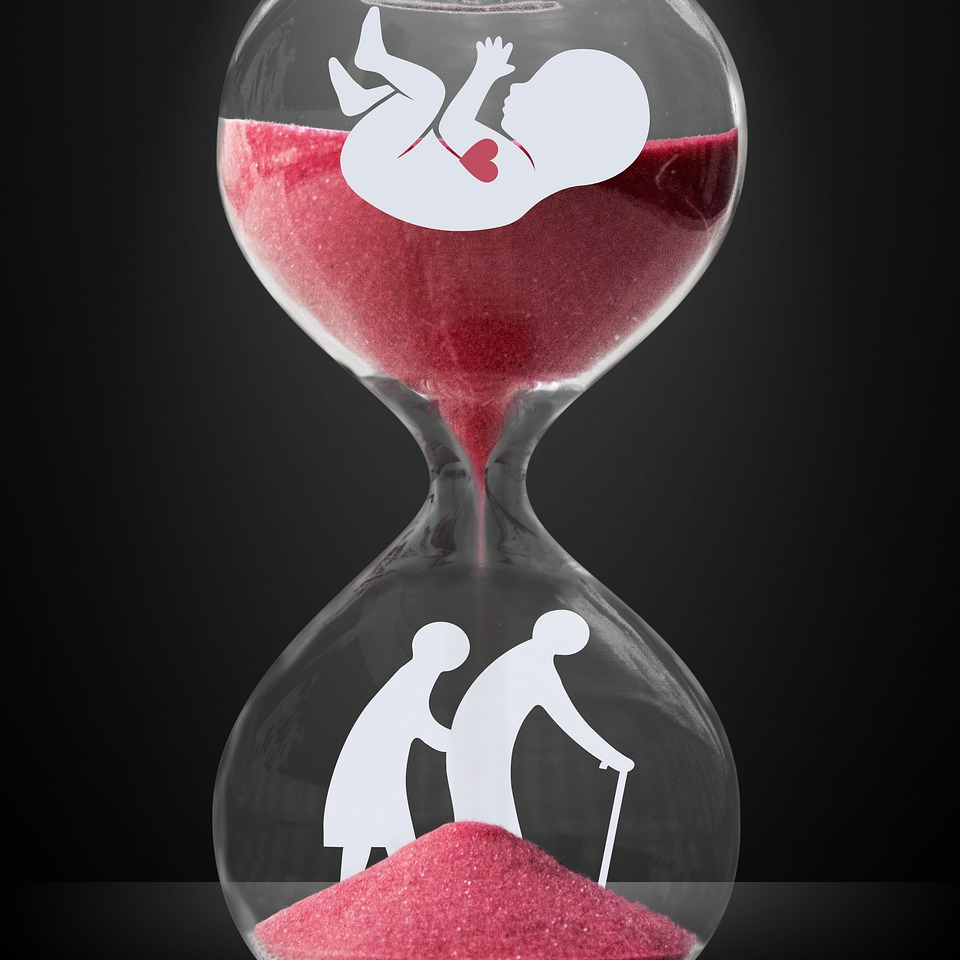 RE (alreal.lens) Lens social identity (.lens handle) PFP