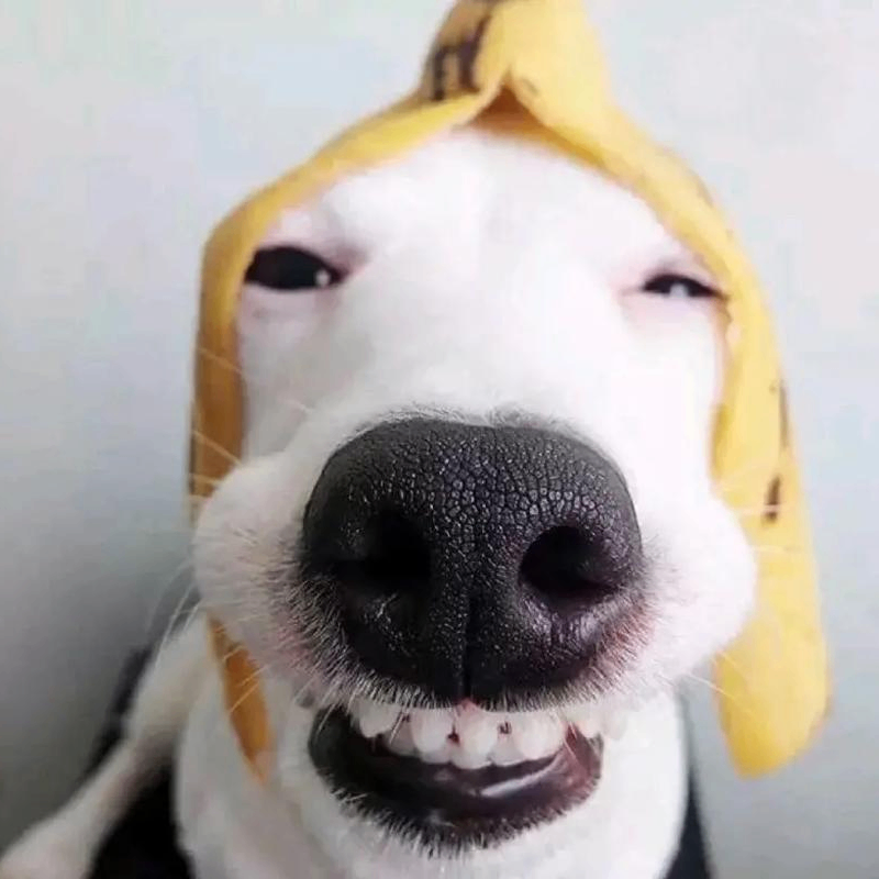 Walter Fuentes (fghfgffg.lens) Lens social identity (.lens handle) PFP