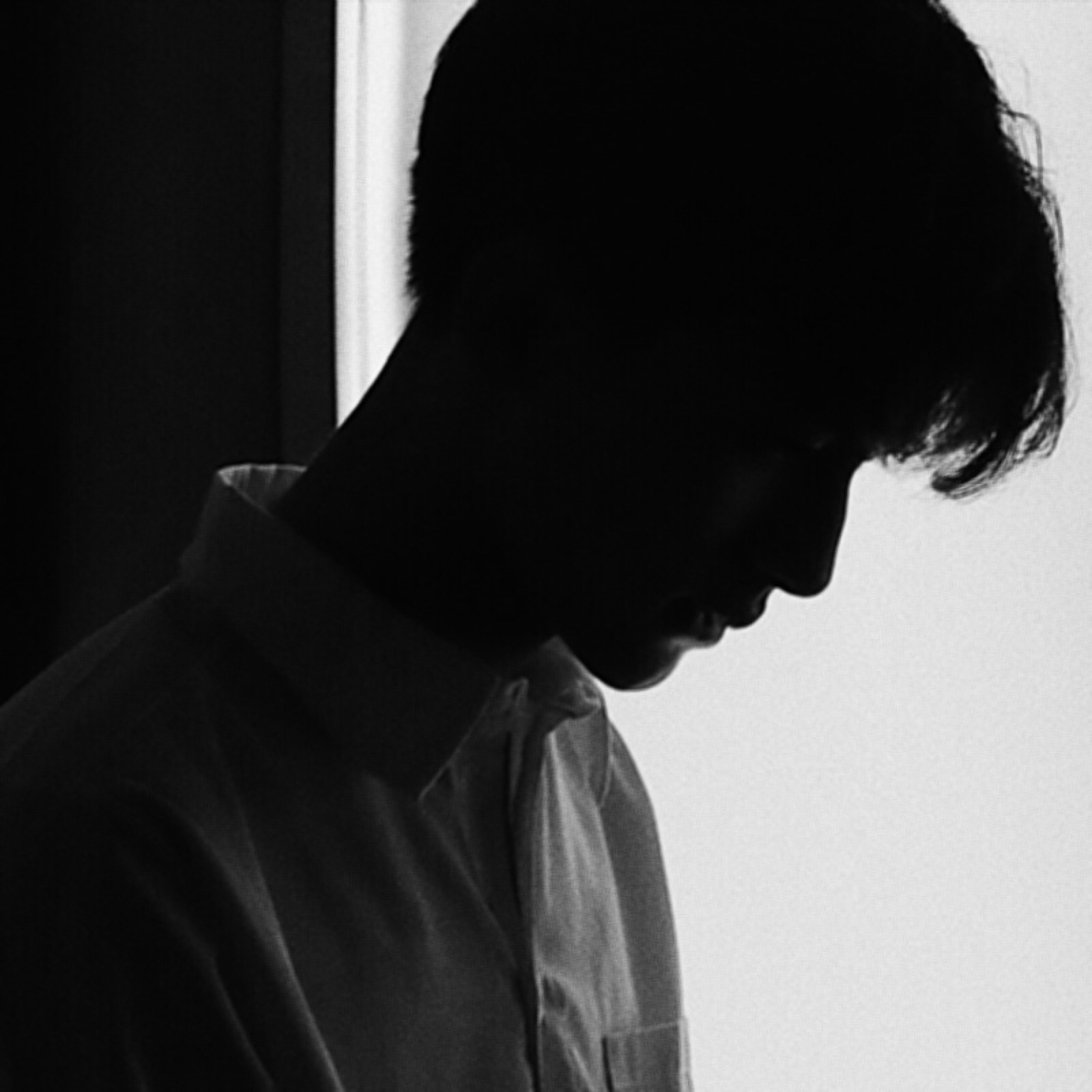 albanavarrowapa (albanavarrowapa.lens) Lens social identity (.lens handle) PFP