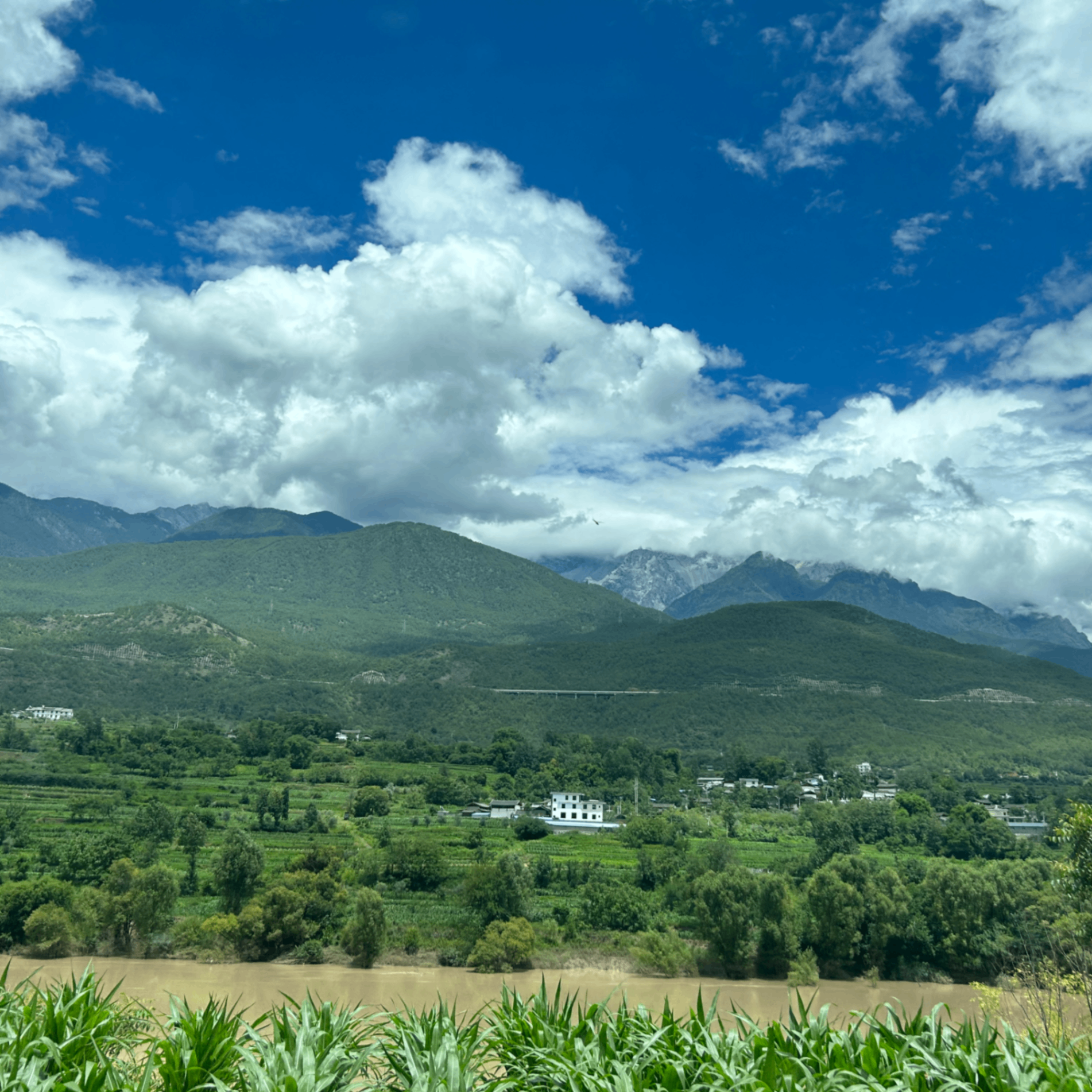 e12 (eth012.lens) Lens social identity (.lens handle) PFP