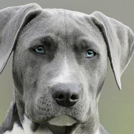 Stepghene (stephene.lens) Lens social identity (.lens handle) PFP