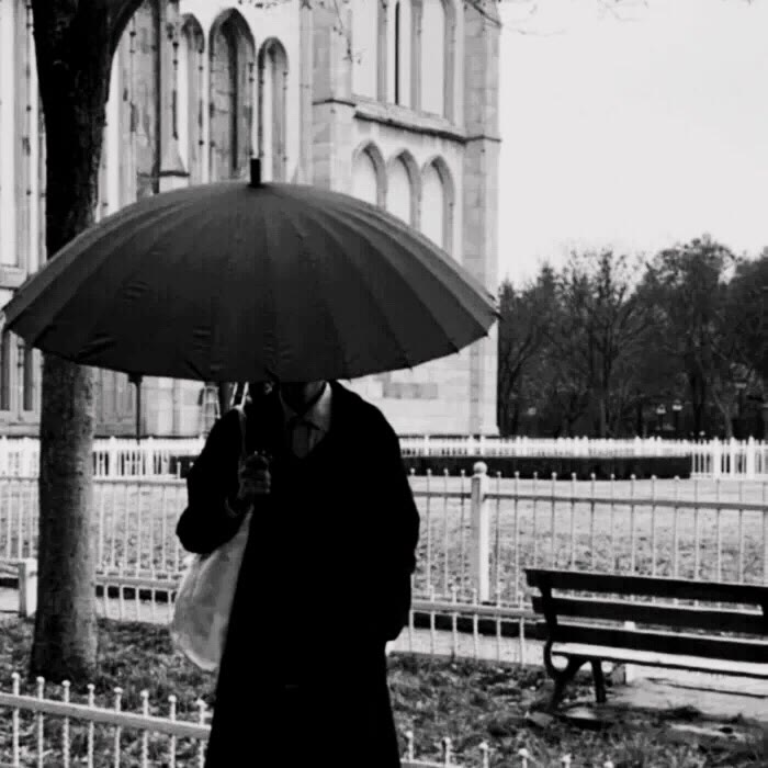 gujghjj (gujghjj.lens) Lens social identity (.lens handle) PFP