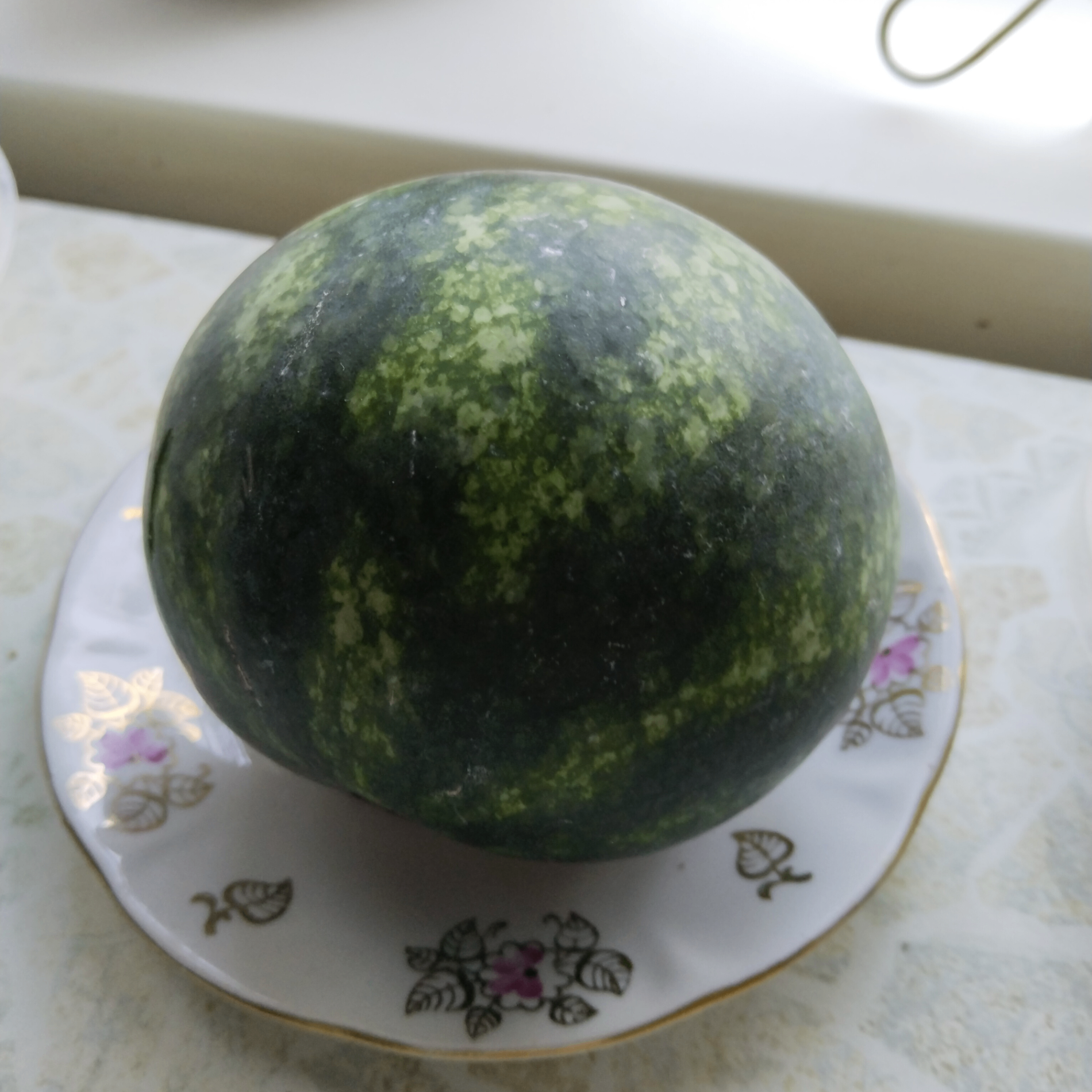 Zauruch (loby1.lens) Lens social identity (.lens handle) PFP