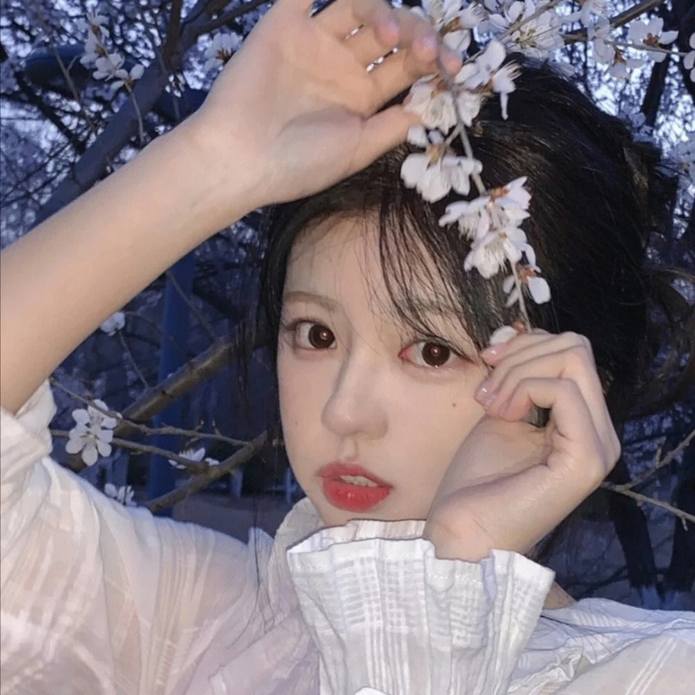 Zenobia Chesterton (ppppj.lens) Lens social identity (.lens handle) PFP