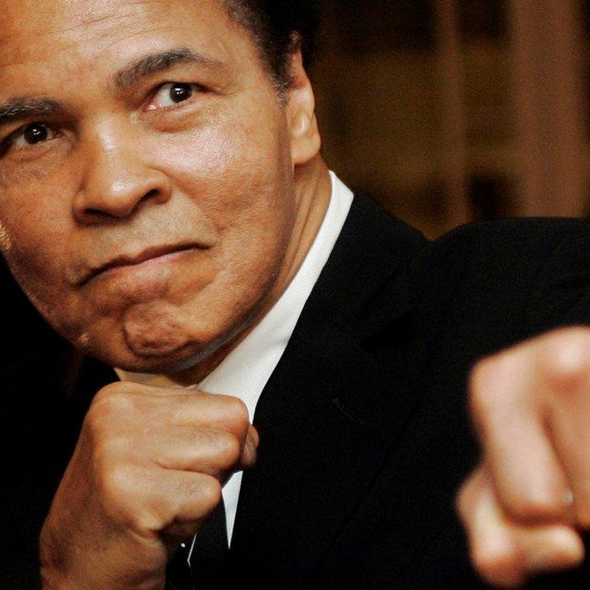 guofu7ali (guofu7ali.lens) Lens social identity (.lens handle) PFP