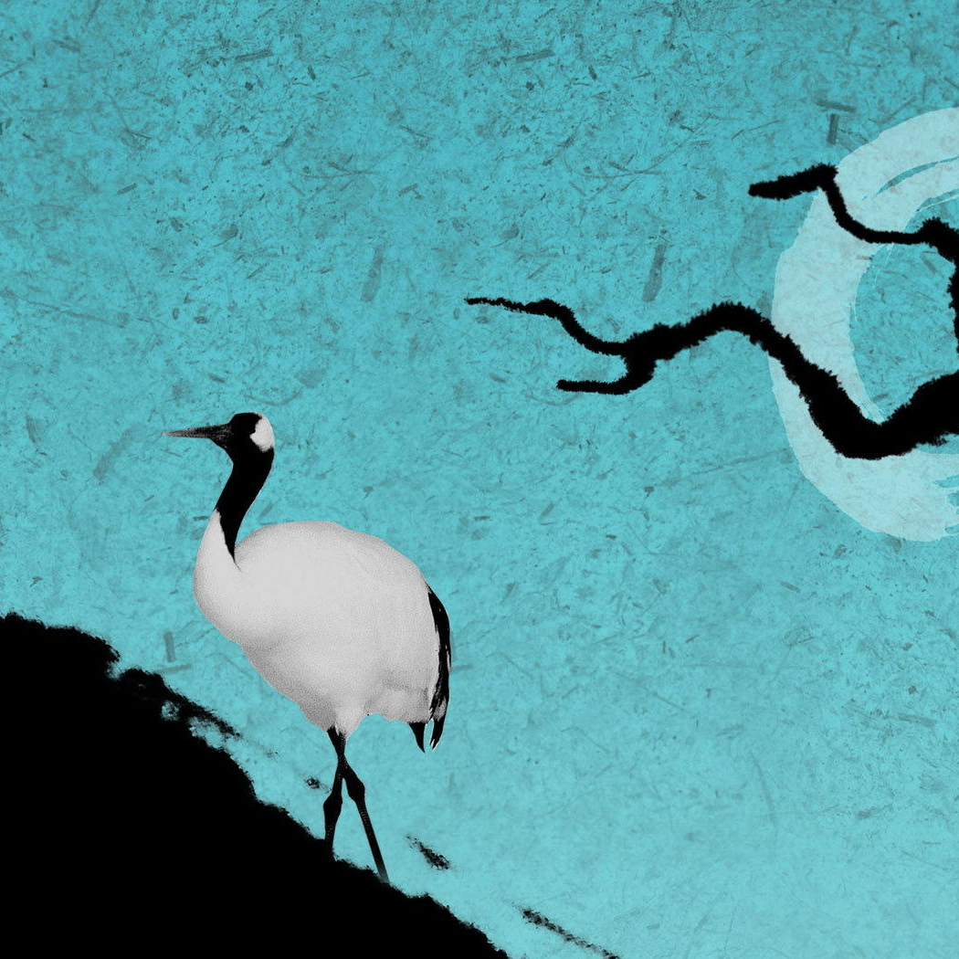 dfg (nexogon.lens) Lens social identity (.lens handle) PFP