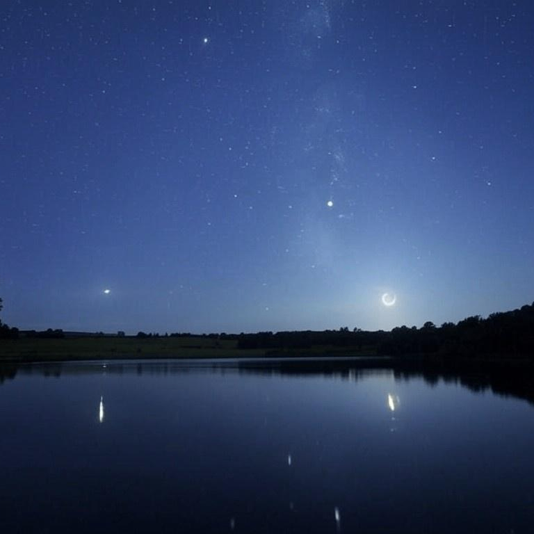 elv93 (elv93.lens) Lens social identity (.lens handle) PFP