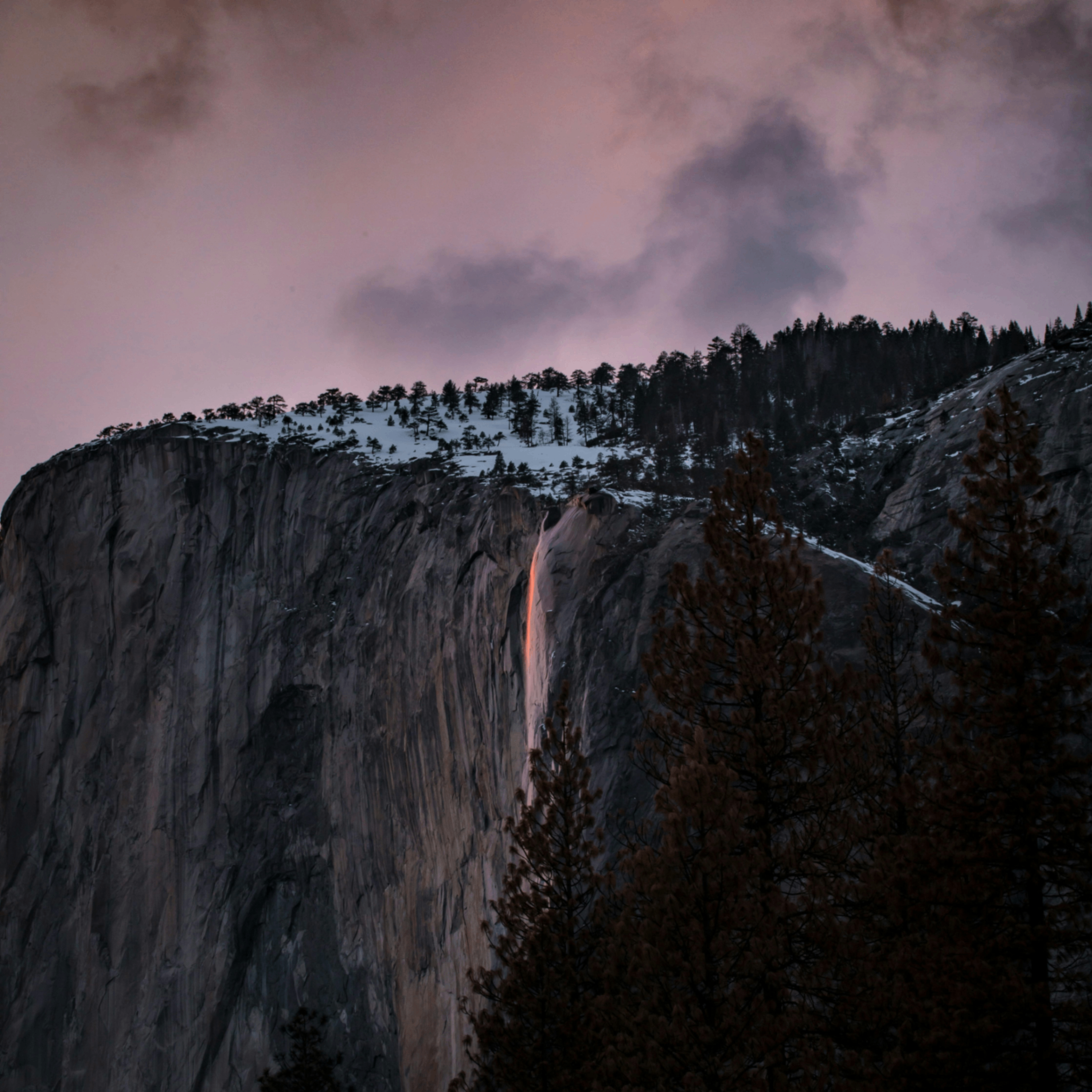 finsd (finsd.lens) Lens social identity (.lens handle) PFP