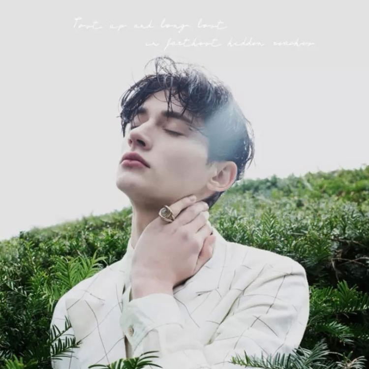 StrongSam (elfenchantment.lens) Lens social identity (.lens handle) PFP