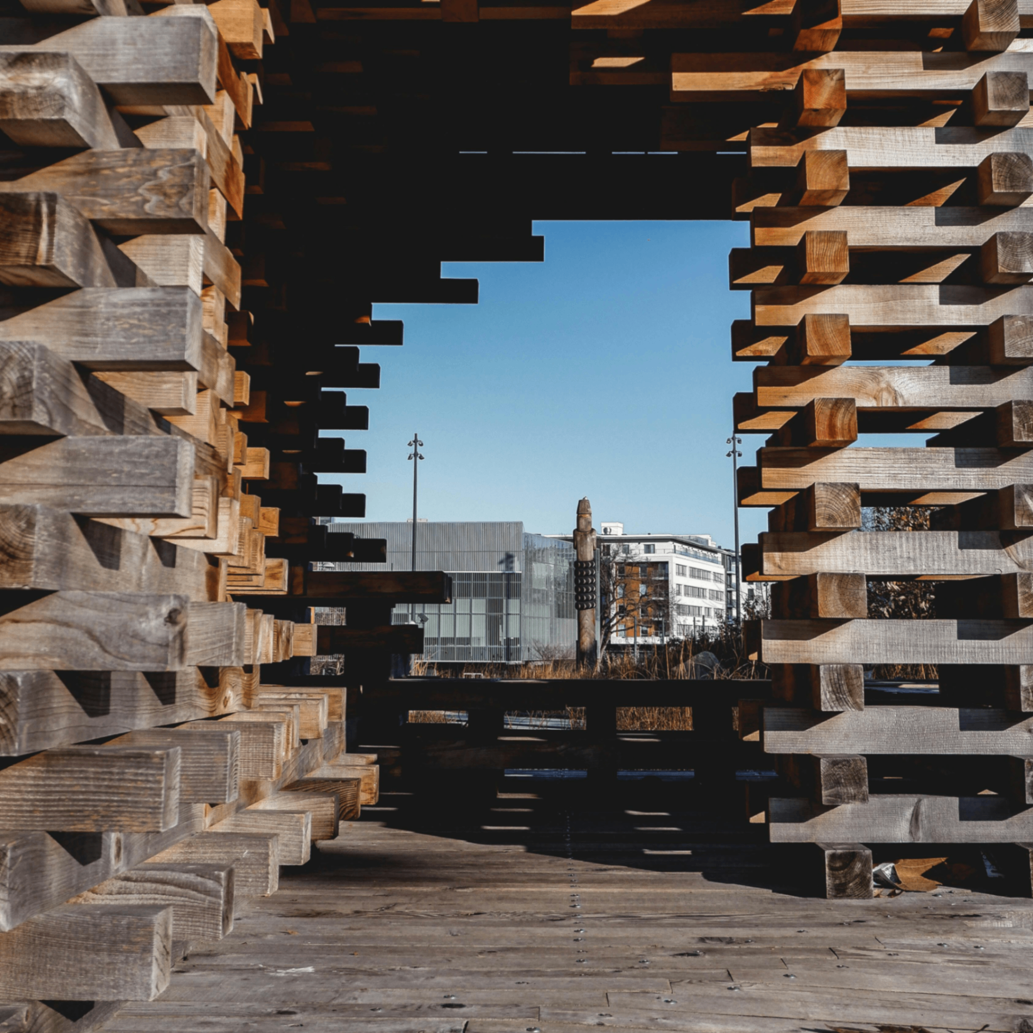 Teslx (teslx.lens) Lens social identity (.lens handle) PFP