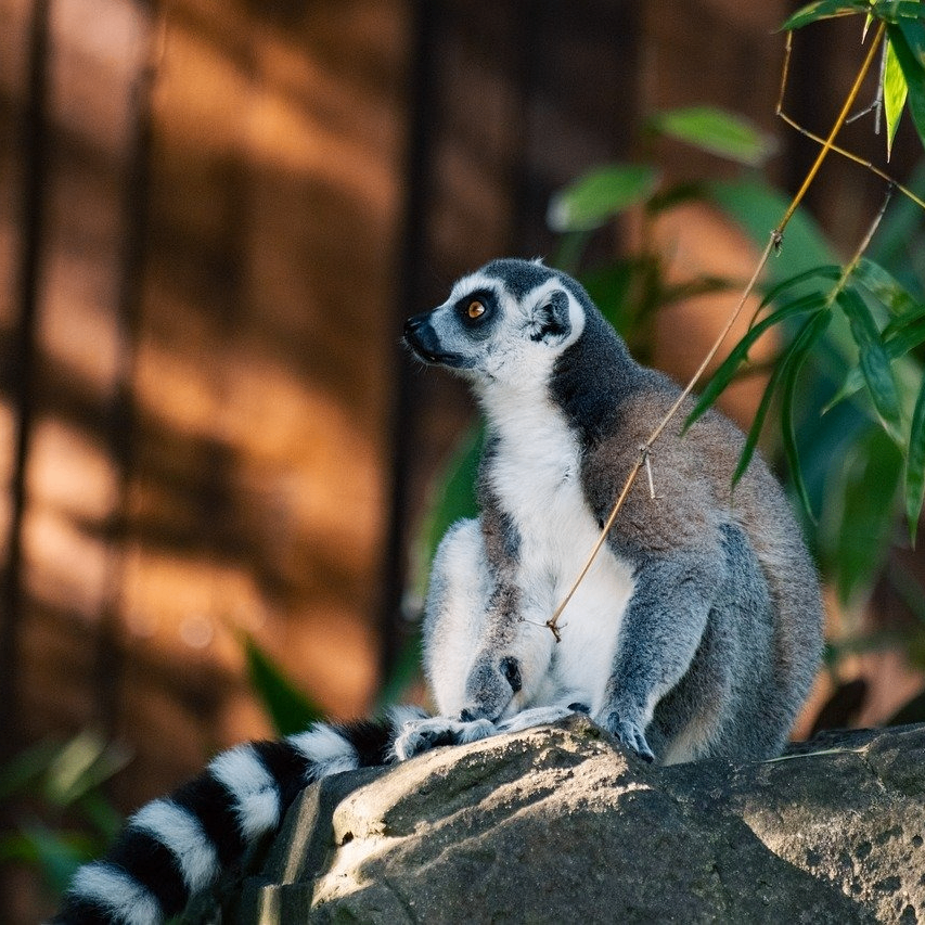 betete (betete.lens) Lens social identity (.lens handle) PFP