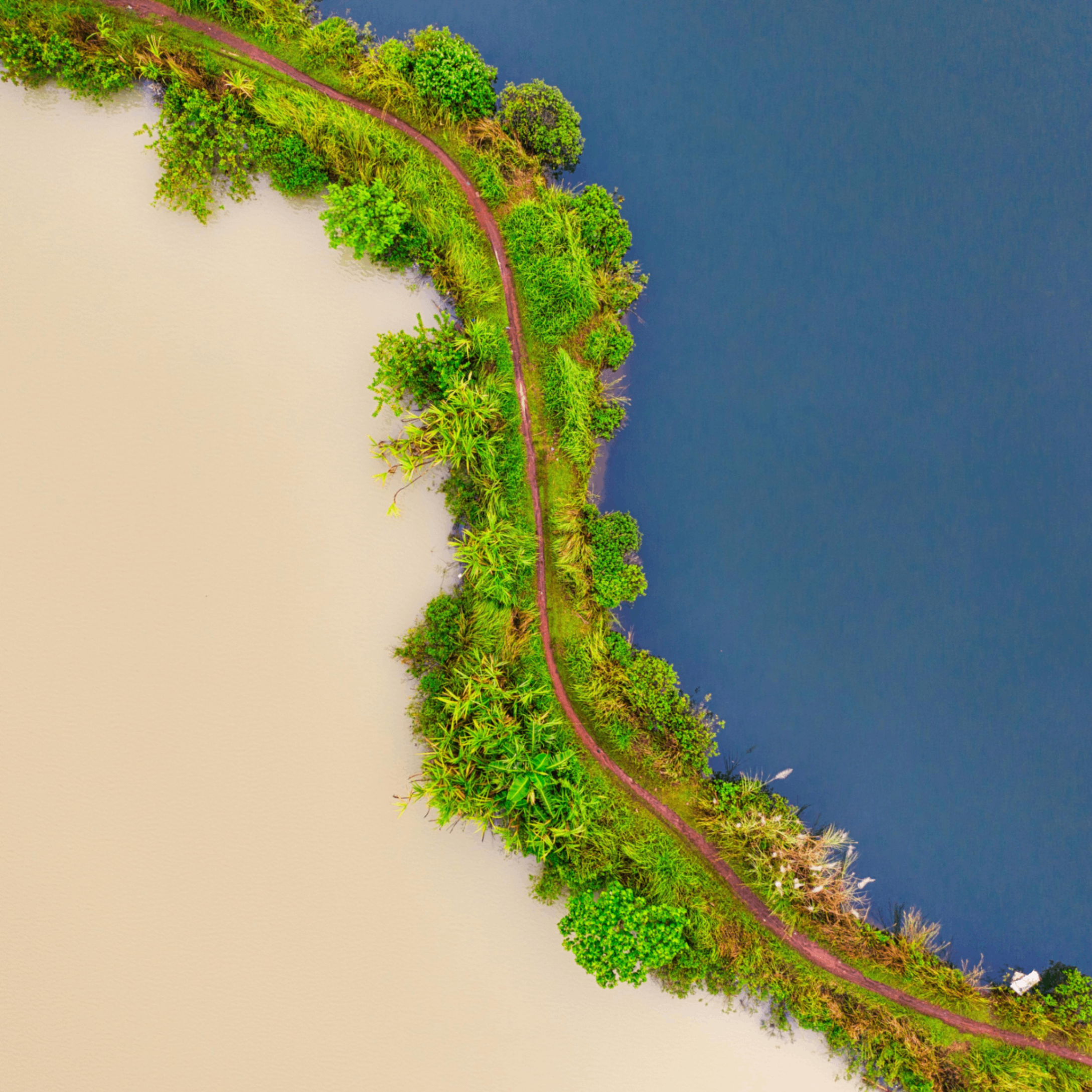 Eetac (eetac.lens) Lens social identity (.lens handle) PFP