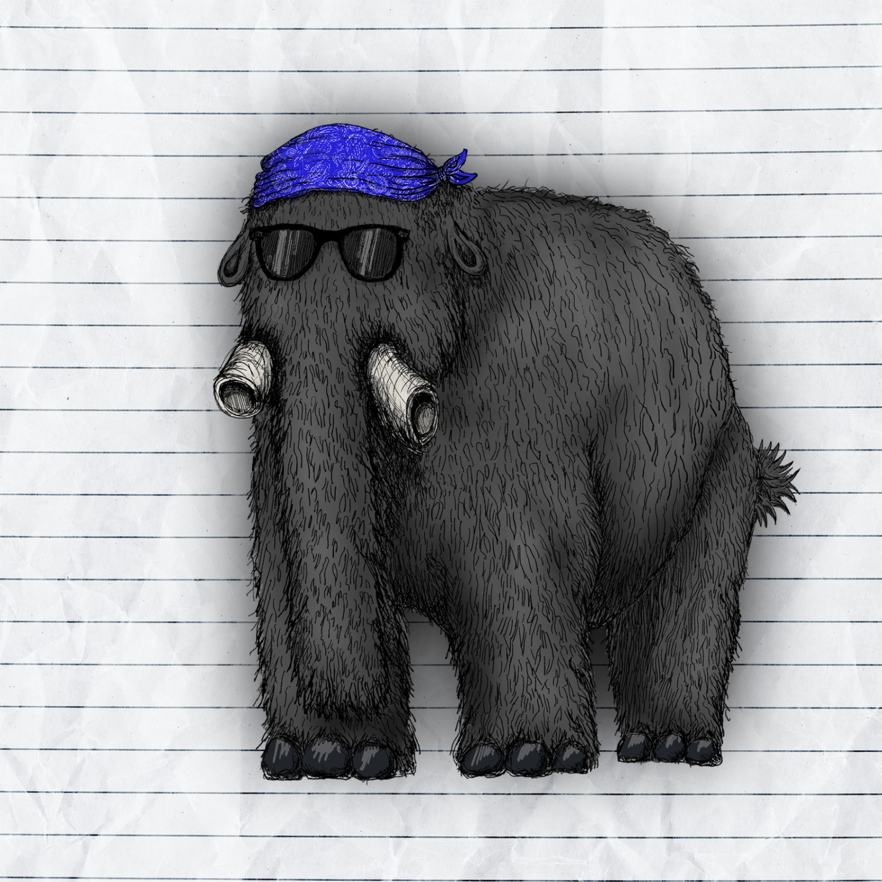 va (wepay.lens) Lens social identity (.lens handle) PFP