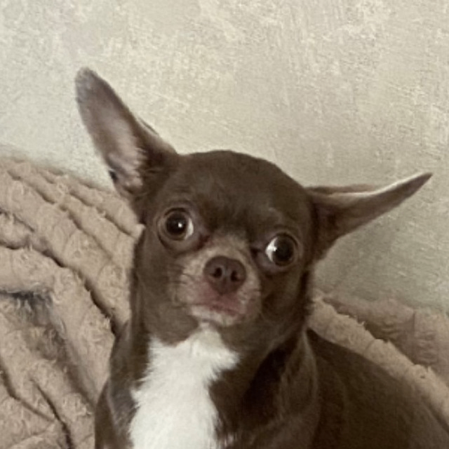 Kenneth (kennethmartinez.lens) Lens social identity (.lens handle) PFP