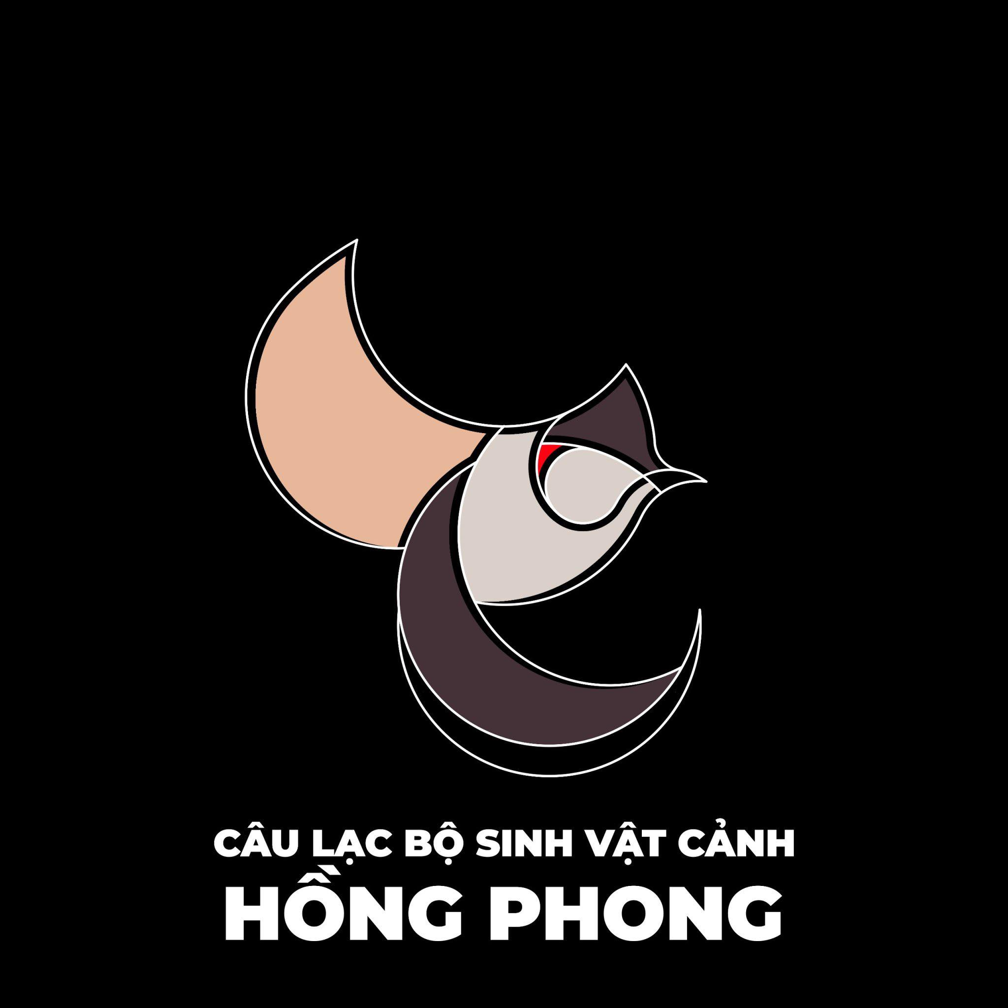 Nguyen chi viet (cherrykendy.lens) Lens social identity (.lens handle) PFP