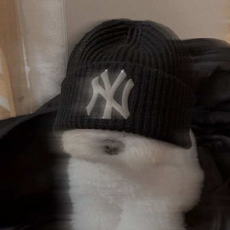 IuliiaP23140455 (iuliiap23140455.lens) Lens social identity (.lens handle) PFP