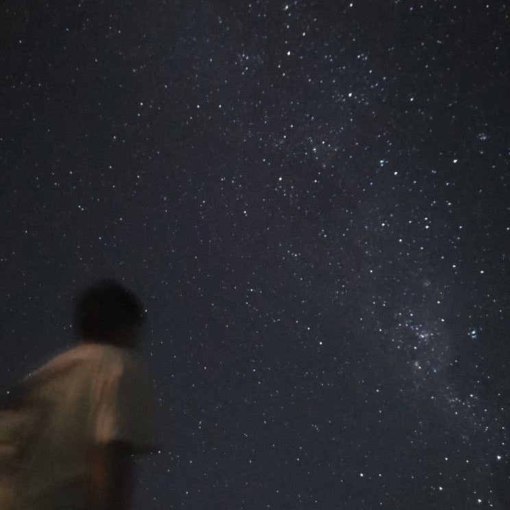 dangomajid (dangomajid.lens) Lens social identity (.lens handle) PFP