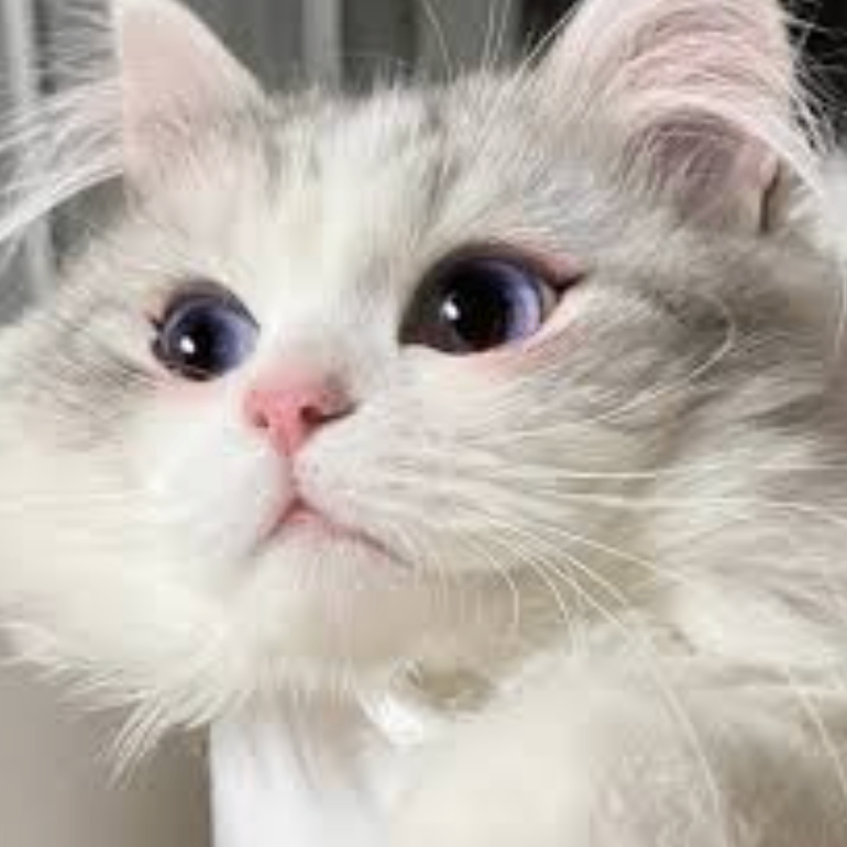 dsdsadad (sskkkkk.lens) Lens social identity (.lens handle) PFP