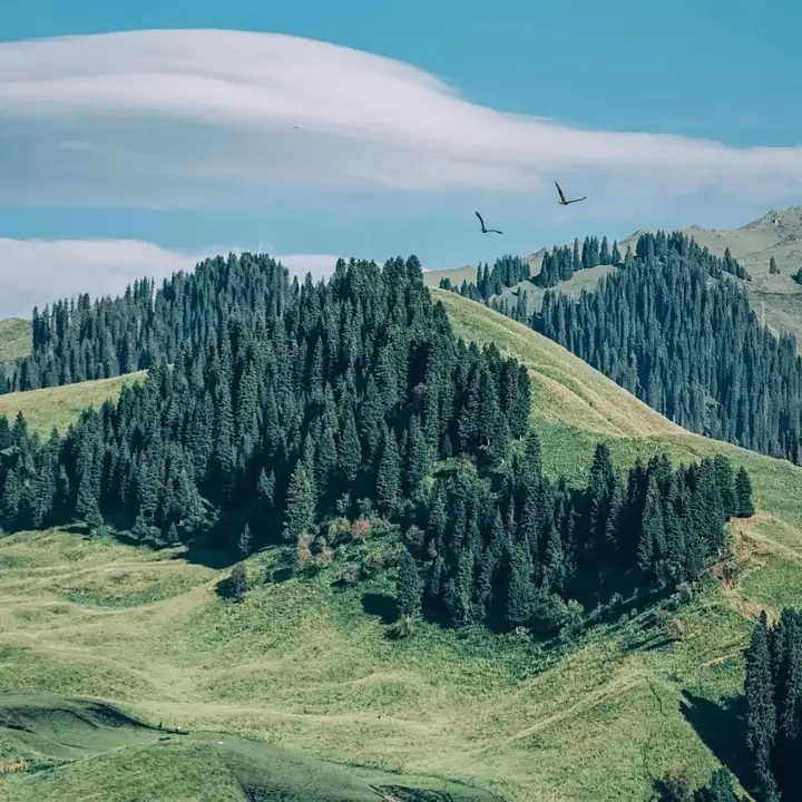 auuonw (auuonw.lens) Lens social identity (.lens handle) PFP