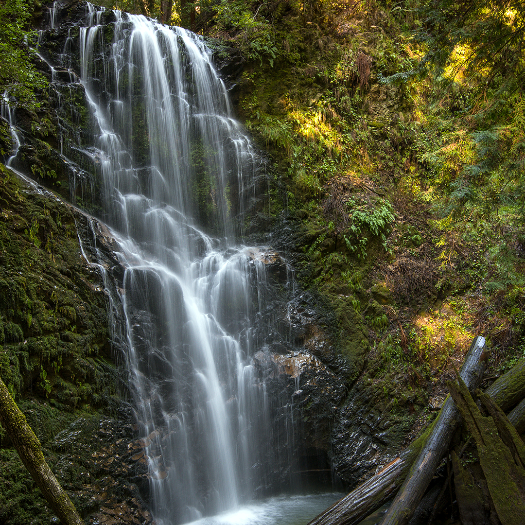 dsfsd (sdweew.lens) Lens social identity (.lens handle) PFP