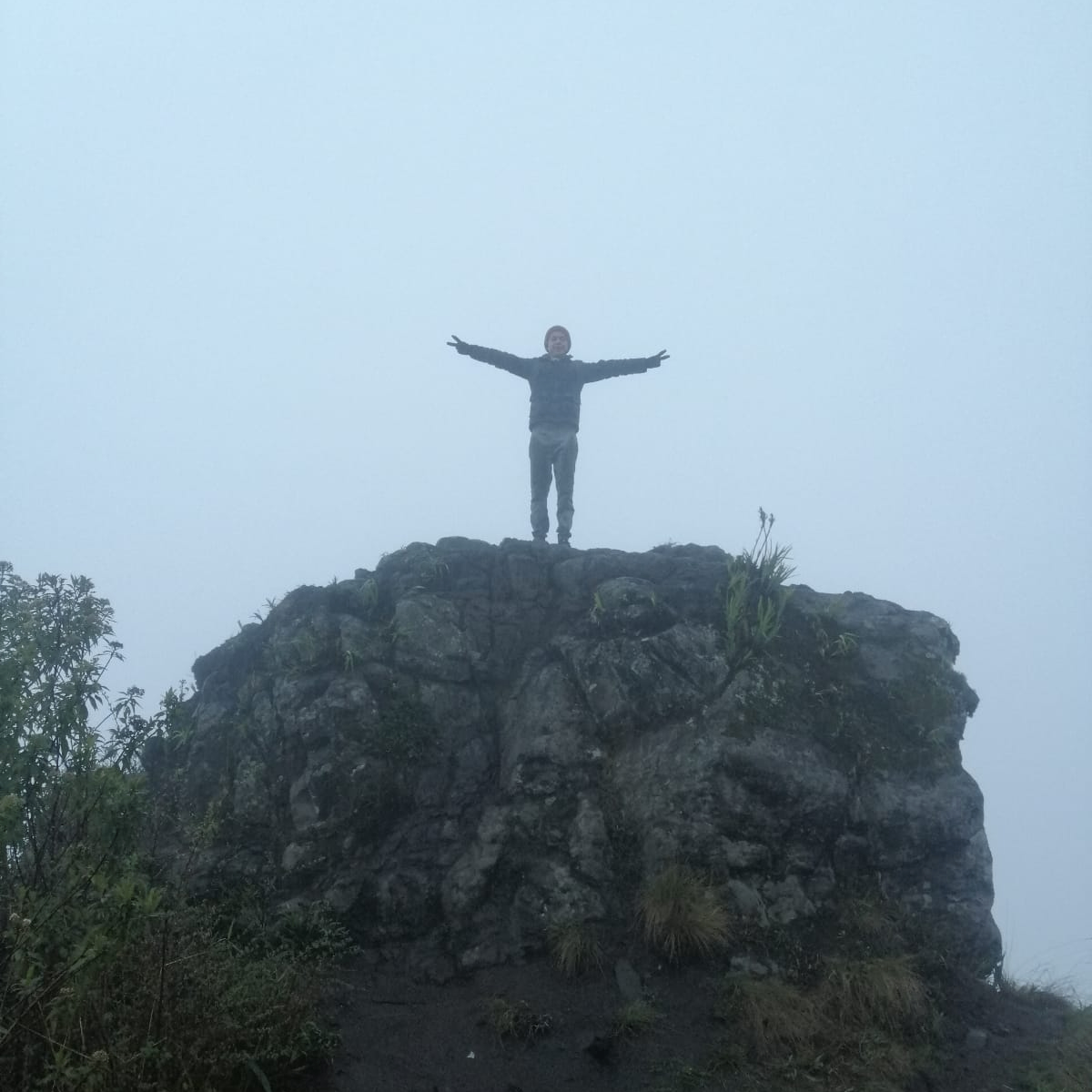 lacarolina.lens Lens social identity (.lens handle) PFP