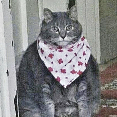 Mason (bahriyv.lens) Lens social identity (.lens handle) PFP