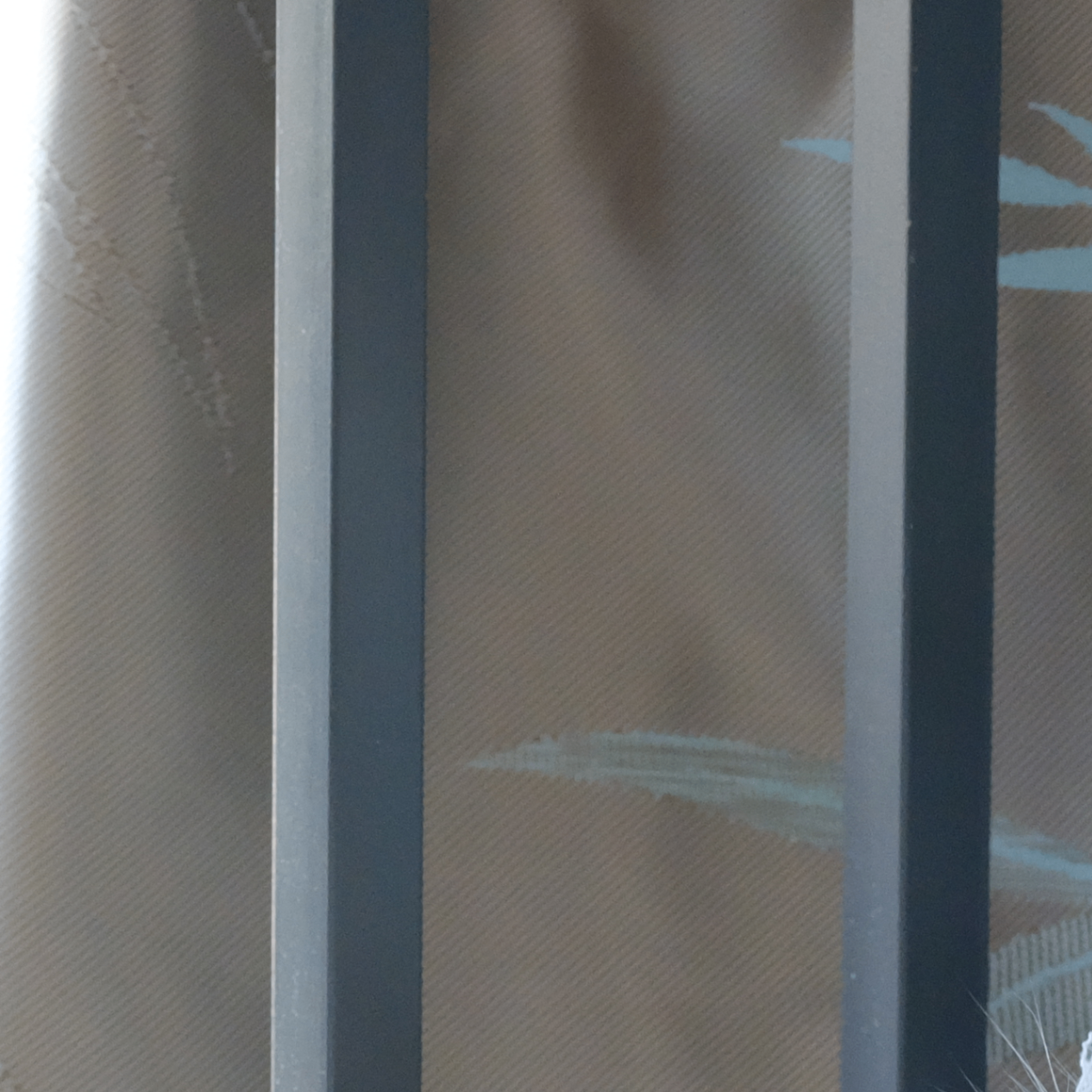 kinmi (kimio.lens) Lens social identity (.lens handle) PFP