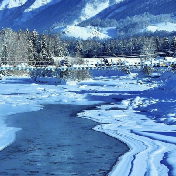 gfdsf3 (hbgfr5v.lens) Lens social identity (.lens handle) PFP