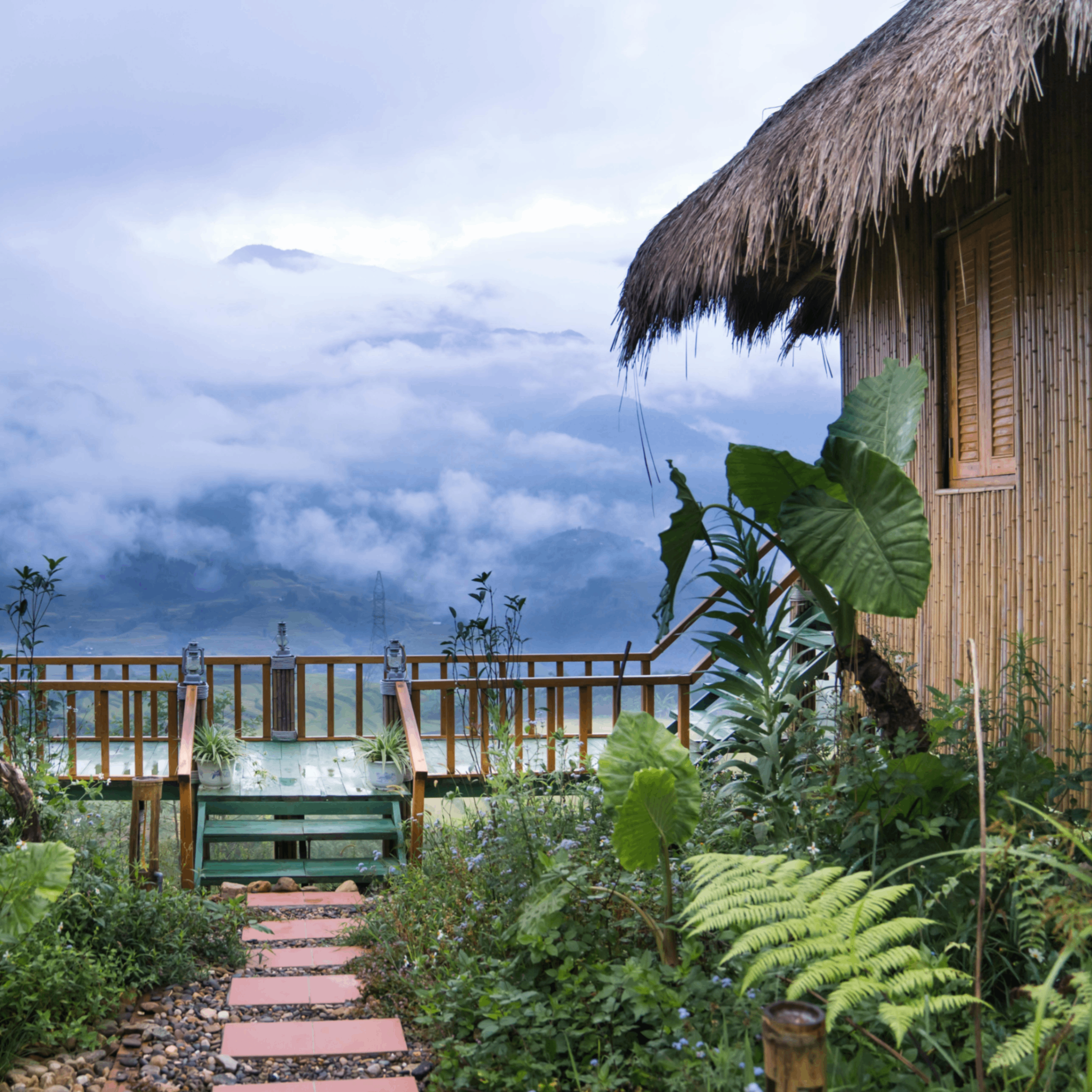 Hummi (hummi.lens) Lens social identity (.lens handle) PFP