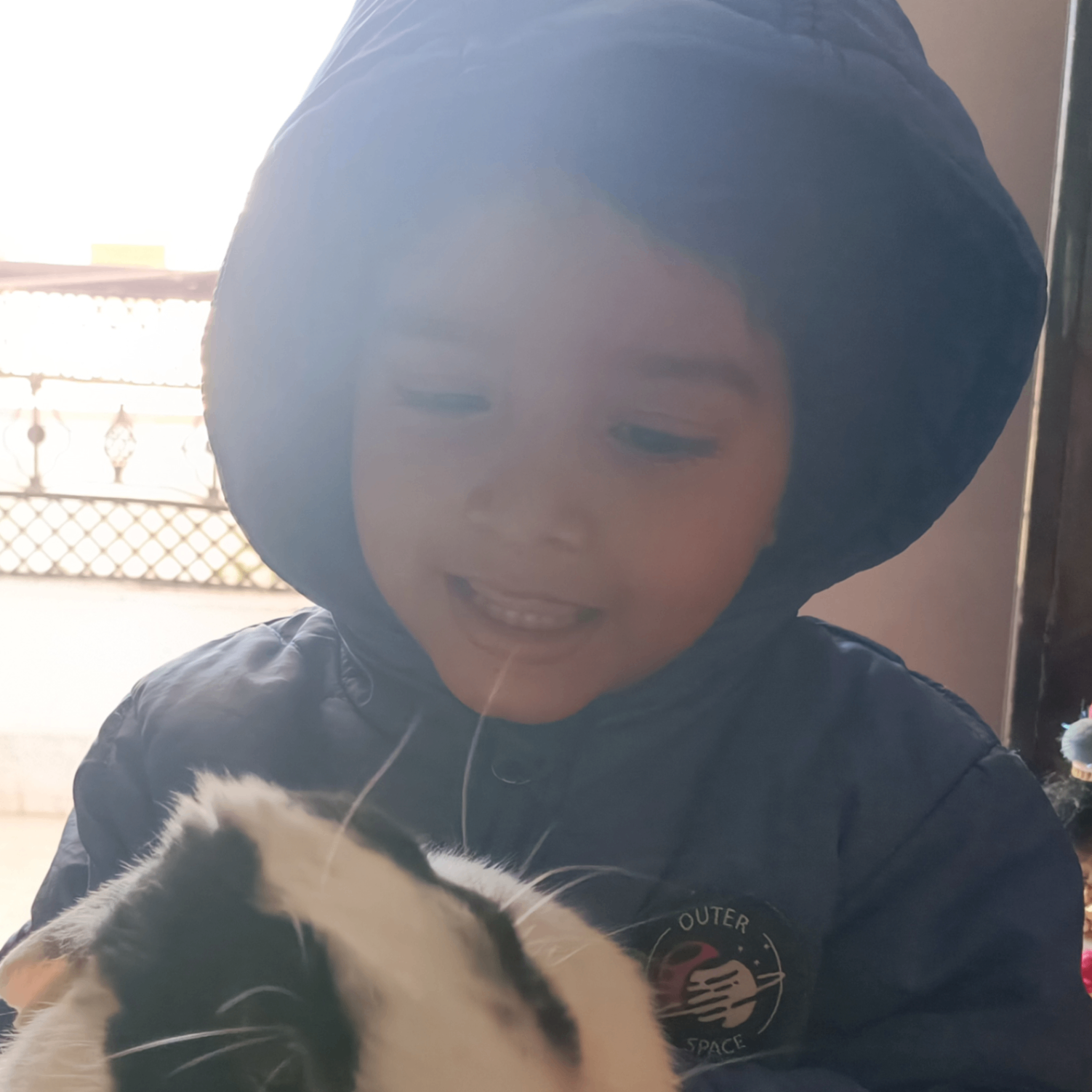 pankaj (sharmajitrn.lens) Lens social identity (.lens handle) PFP