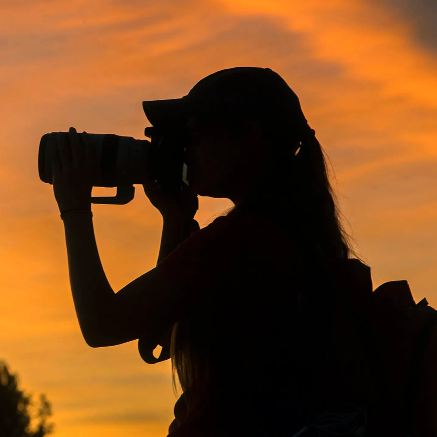 Elizabeth (elizabetht.lens) Lens social identity (.lens handle) PFP