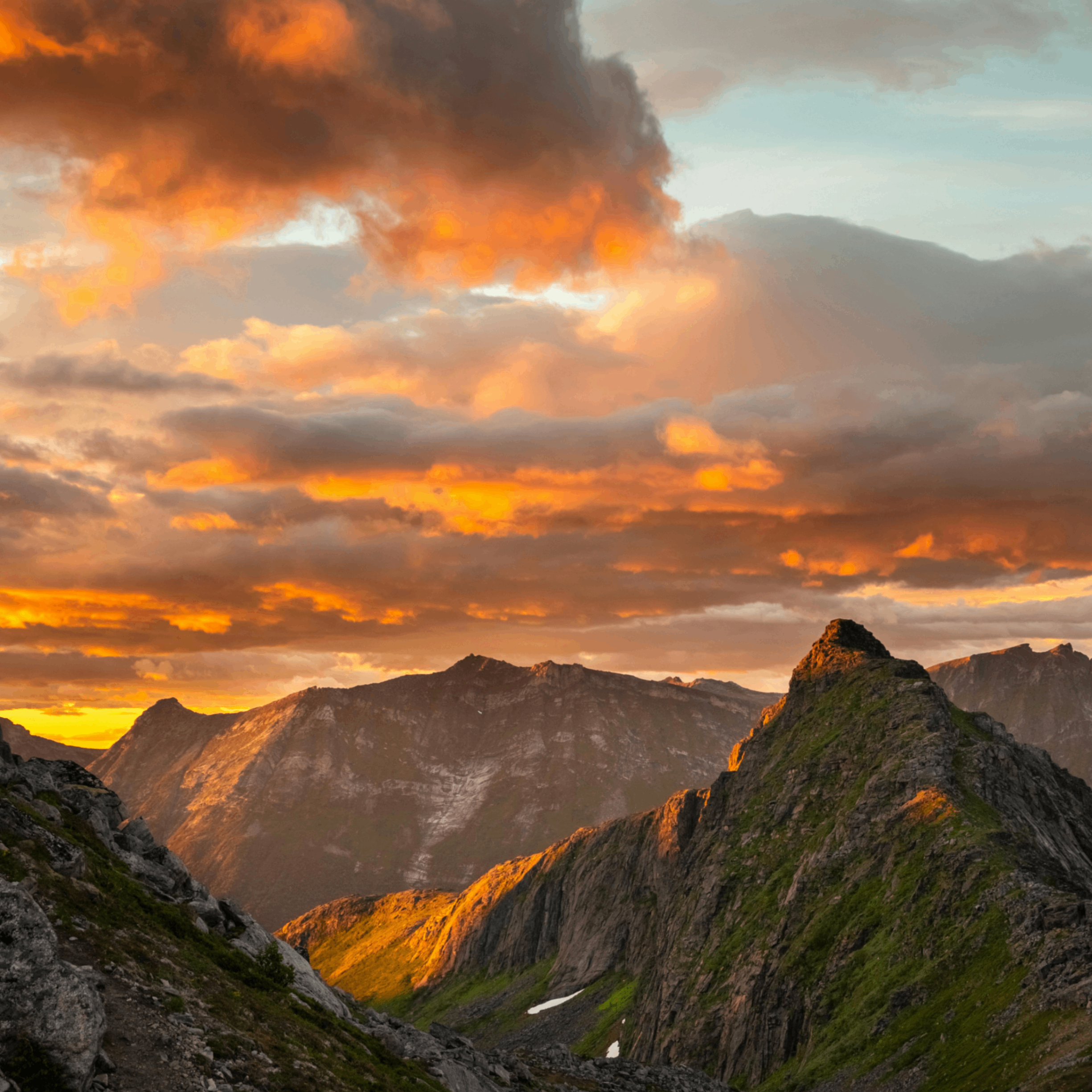 randolpy (randolpy.lens) Lens social identity (.lens handle) PFP