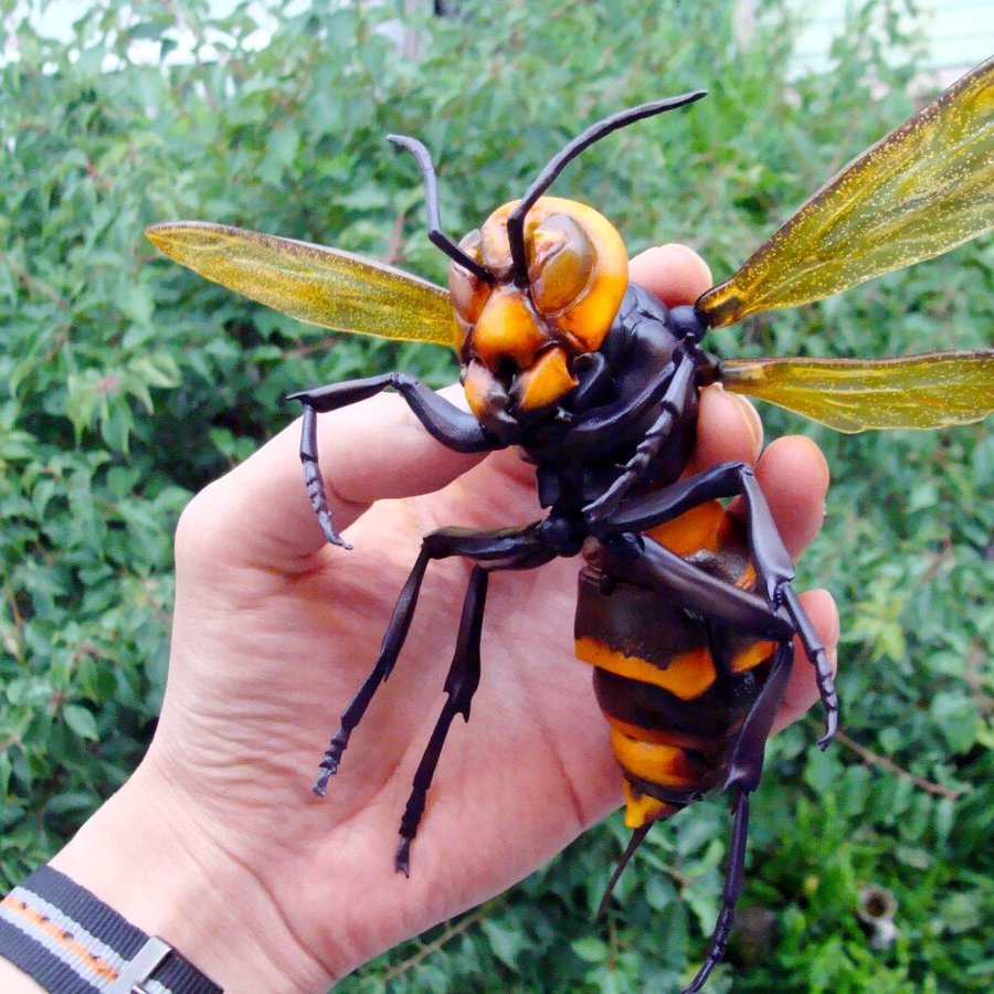 Jelly Snider (proofscoof.lens) Lens social identity (.lens handle) PFP