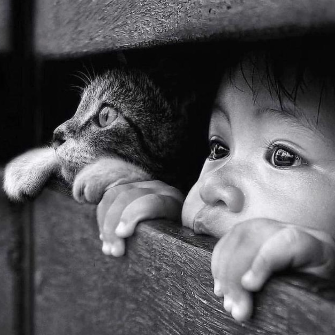 Naiem Hasan Nabil (iamnabil.lens) Lens social identity (.lens handle) PFP