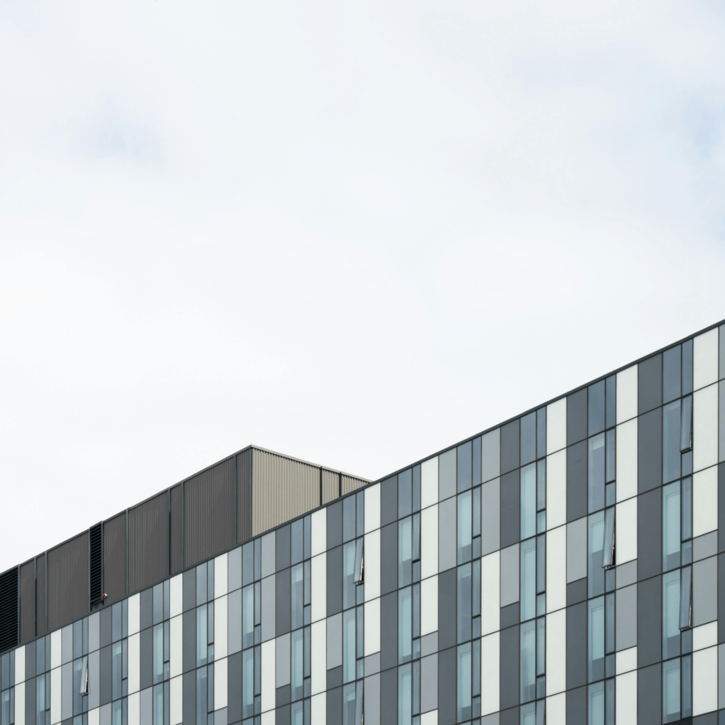 seede (seede.lens) Lens social identity (.lens handle) PFP