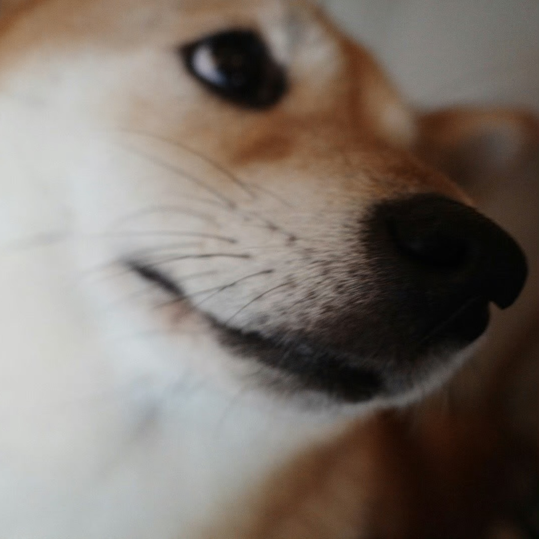 Michael Davis (sensational.lens) Lens social identity (.lens handle) PFP