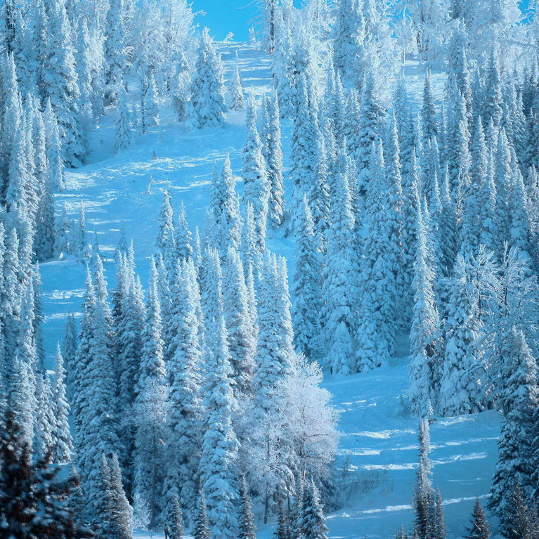 rtr (assetx.lens) Lens social identity (.lens handle) PFP