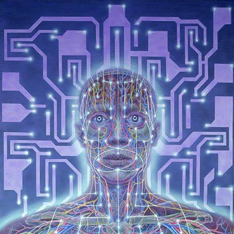 ceeport (ceeport.lens) Lens social identity (.lens handle) PFP